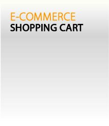 Shopping cart features